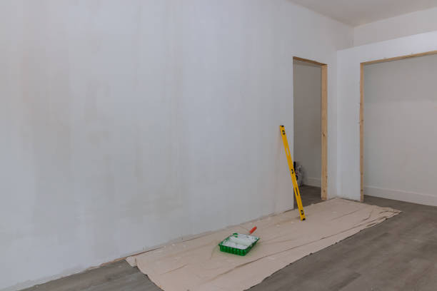 Trusted Wolfdale, PA Mold Removal Experts